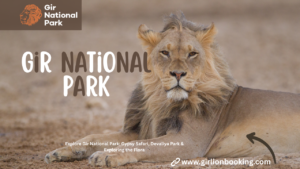 Gir National Park: Gypsy Safari, Devaliya Park & Exploring the Flora