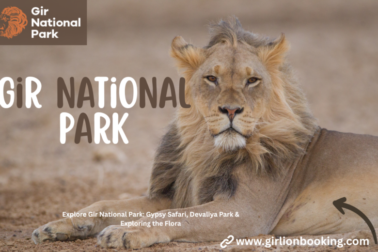 Gir National Park: Gypsy Safari, Devaliya Park & Exploring the Flora