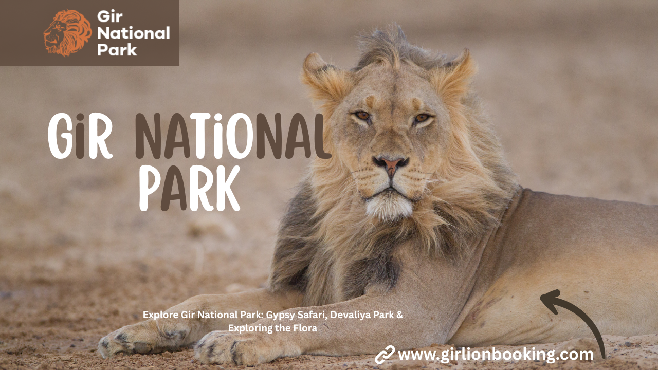 Gir National Park: Gypsy Safari, Devaliya Park & Exploring the Flora