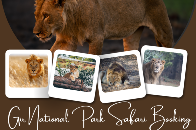 Gir Lion booking