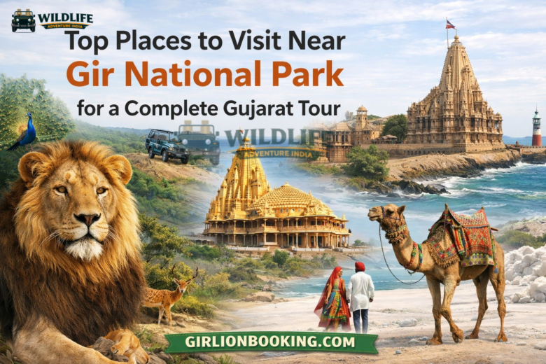 Top Places to Visit Near Gir National Park