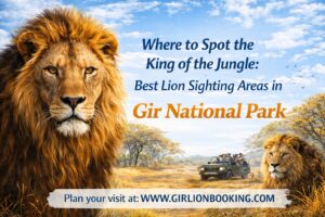 Best Lion Sighting Areas in Gir National Park