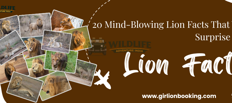 20 Mind-Blowing Lion Facts That Will Surprise You