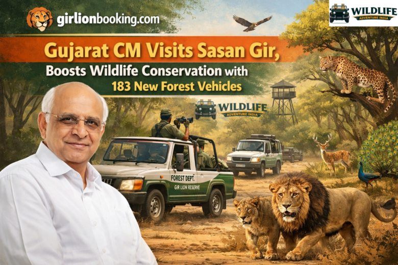 Gujarat CM Explores Sasan Gir Lion Safari