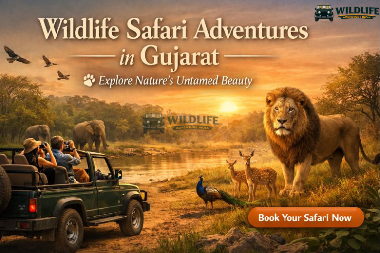 Wildlife Safari Adventures in Gujarat