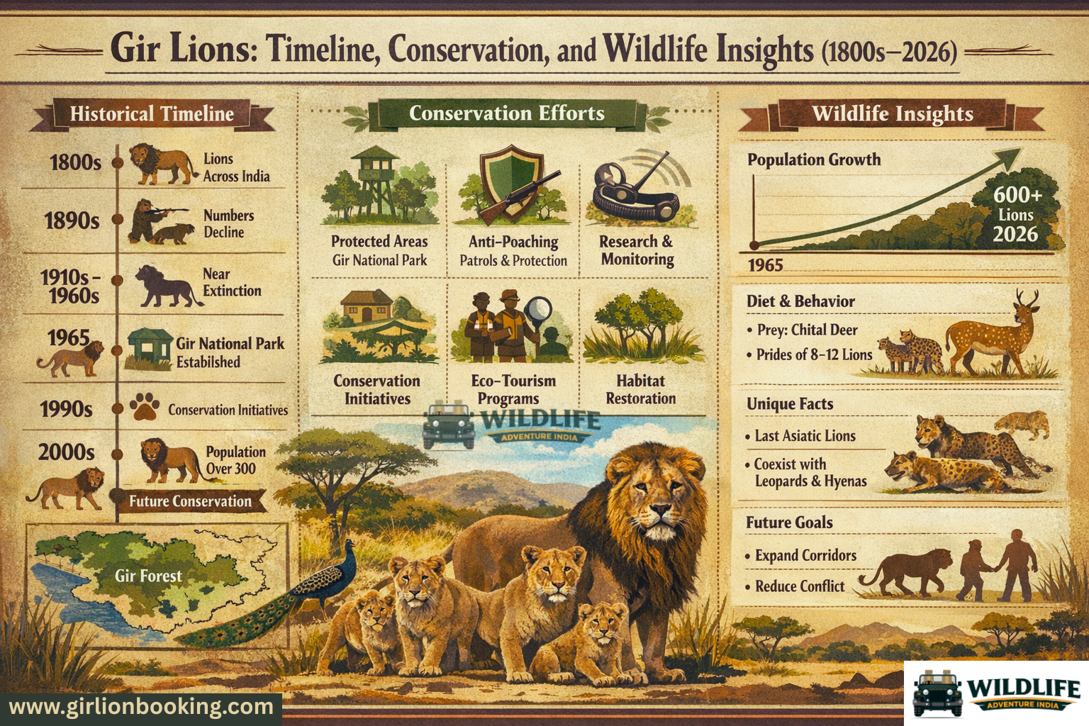 Gir Lions: Timeline, Conservation, and Wildlife Insights (2026)