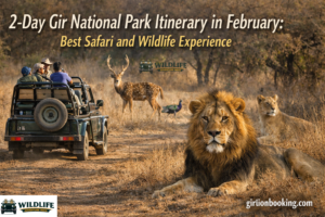 2-Day Gir National Park Itinerary in February