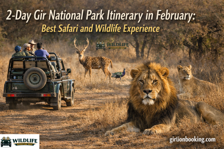 2-Day Gir National Park Itinerary in February