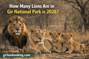 How Many Lions Are in Gir National Park in 2026