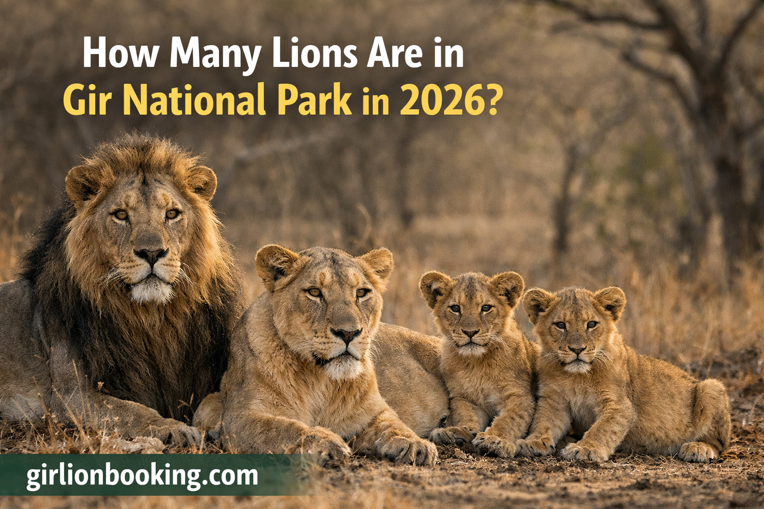 How Many Lions Are in Gir National Park in 2026