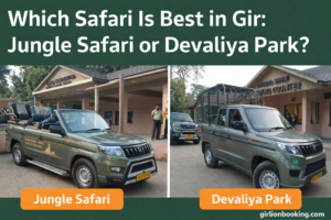 Which Safari Is Best in Gir: Jungle Safari or Devaliya Park