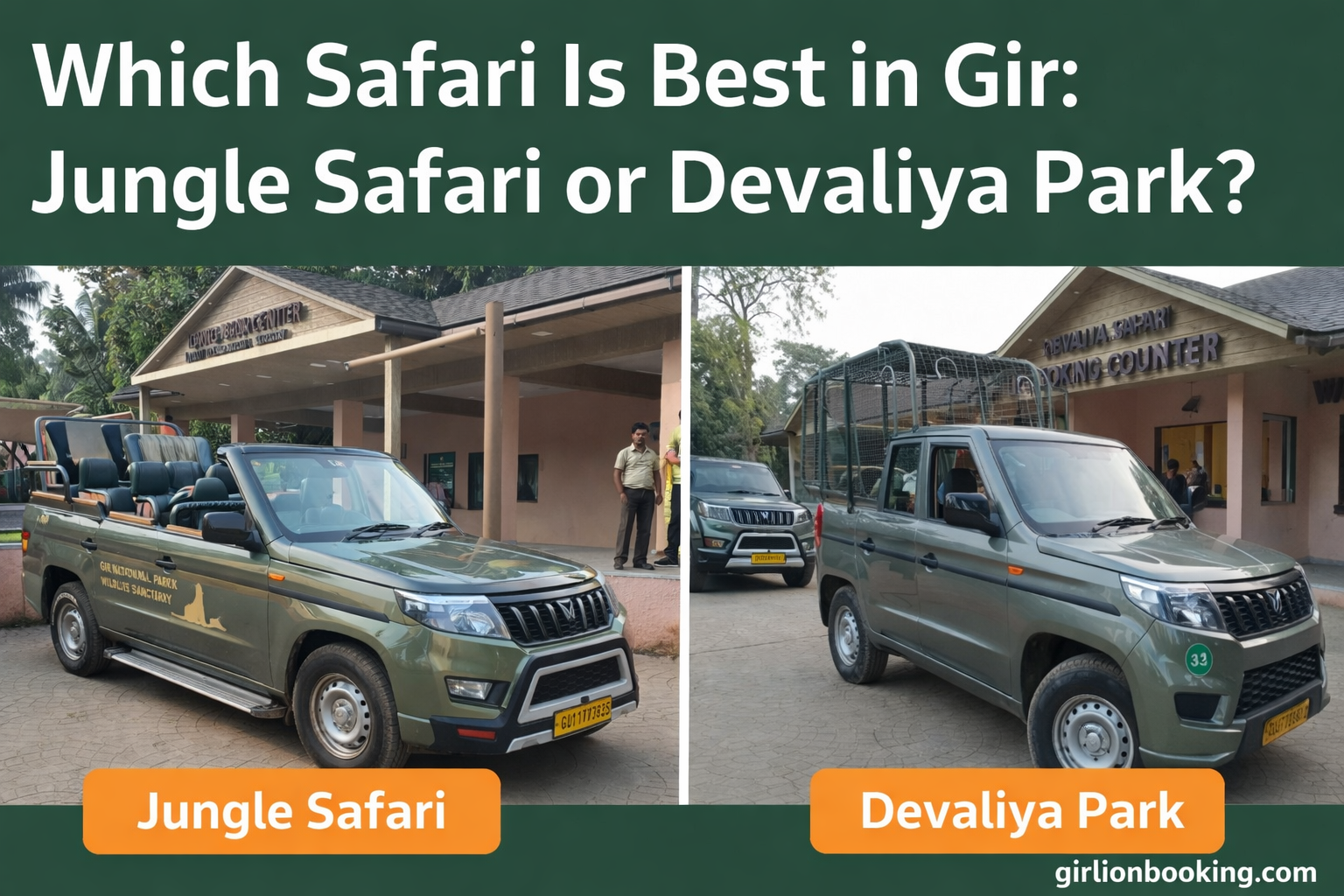 Which Safari Is Best in Gir: Jungle Safari or Devaliya Park