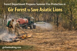 Summer Fire Protection in Gir Forest