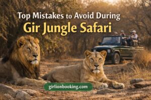 Top Mistakes to Avoid During Gir Jungle Safari