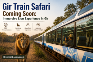 Gir Train Safari Coming Soon