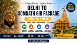 Delhi to Somnath Gir Package