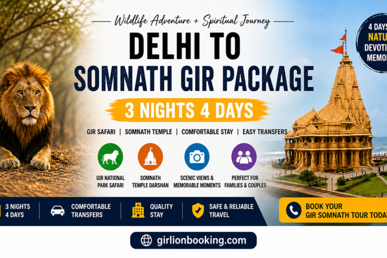Delhi to Somnath Gir Package