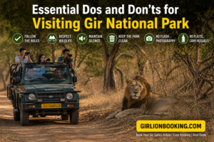 Essential Dos and Don’ts for Visiting Gir National Park