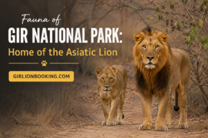 Fauna of Gir National Park Home of the Asiatic Lion