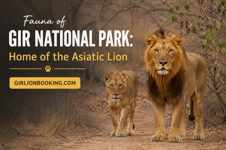 Fauna of Gir National Park Home of the Asiatic Lion