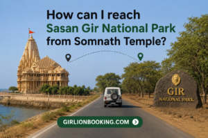 How can I reach Sasan Gir National Park from Somnath Temple