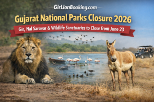 Gujarat National Parks Closure 2026