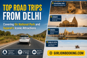 Top Road Trips from Delhi Covering Gir National Park and Gujarat’s Iconic Attractions