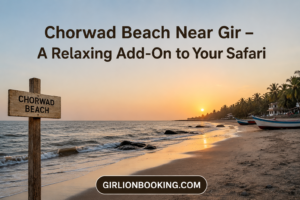 Chorwad Beach Near Gir – A Relaxing Add-On to Your Safari