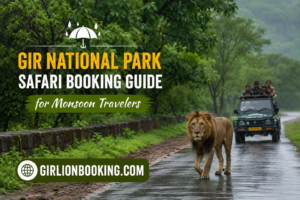 Gir National Park Safari Booking Guide for Monsoon Travelers
