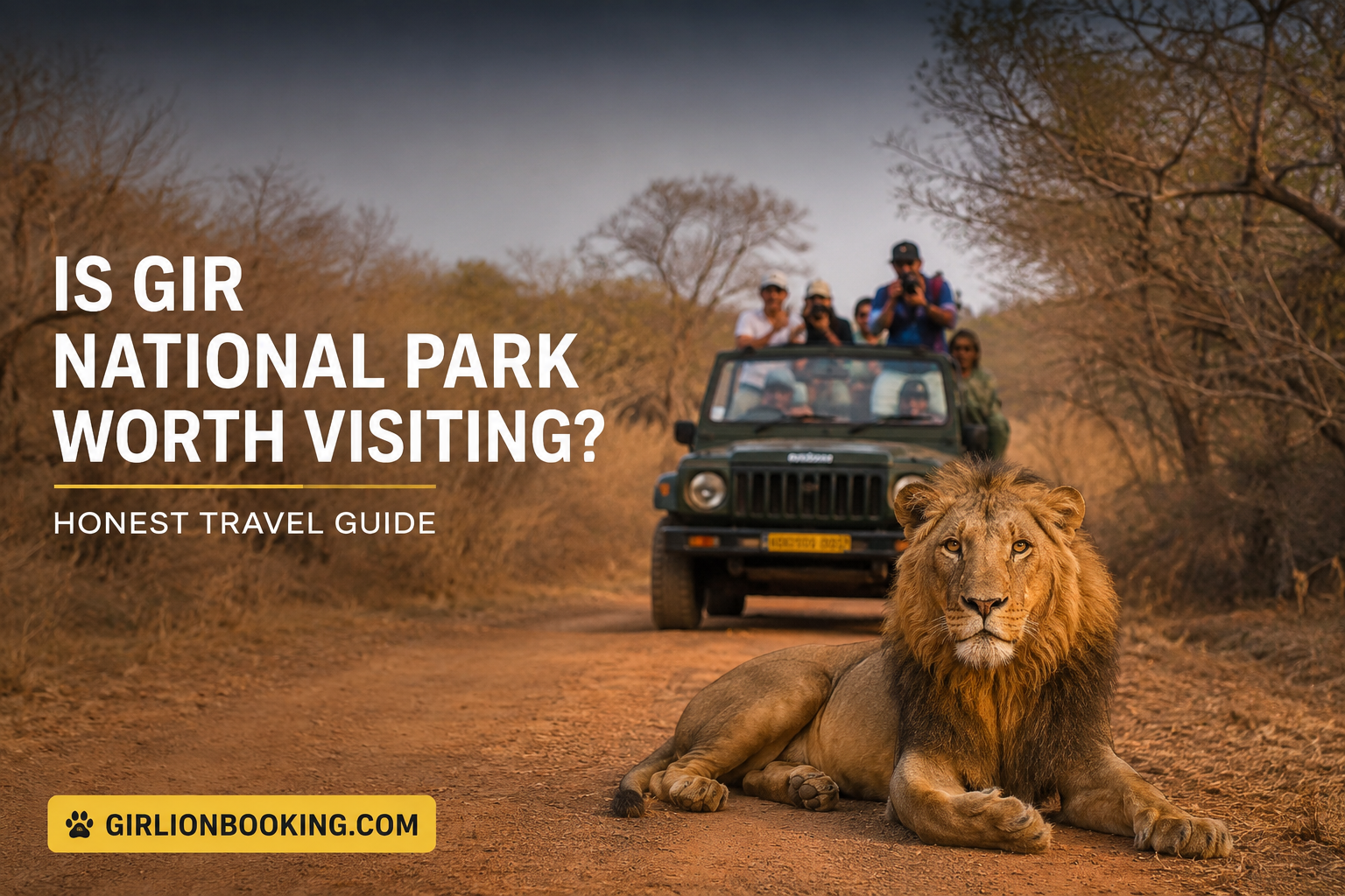 Is Gir National Park Worth Visiting Honest Travel Guide