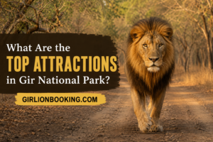 What Are the Top Attractions in Gir National Park