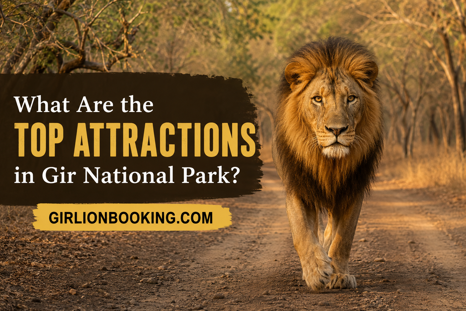 What Are the Top Attractions in Gir National Park