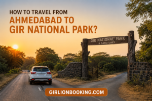 How to Travel from Ahmedabad to Gir National Park