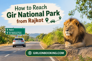 How to Reach Gir National Park from Rajkot
