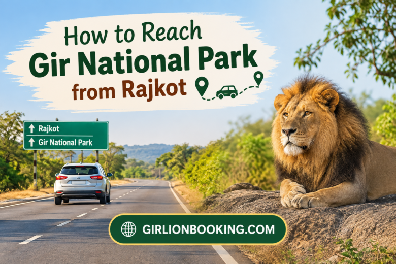 How to Reach Gir National Park from Rajkot