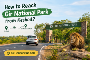 How to Reach Gir National Park from Keshod