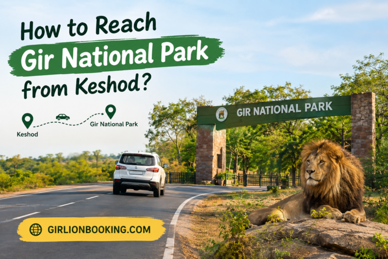 How to Reach Gir National Park from Keshod