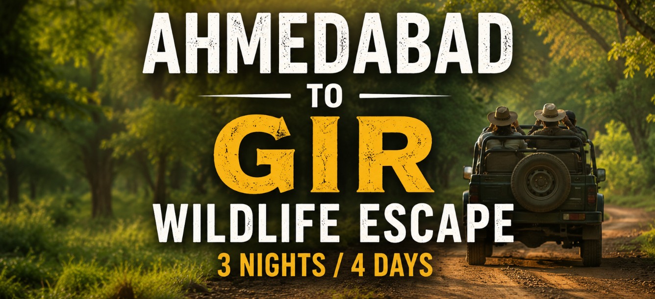 Ahmedabad to Gir Wildlife Escape – 3 Nights / 4 Days
