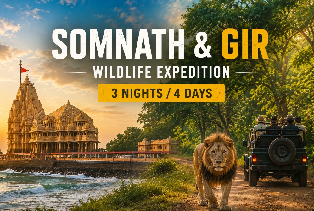Somnath & Gir Wildlife Expedition – 3 Nights / 4 Days