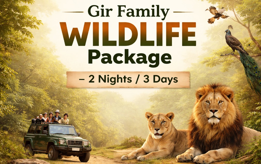 Gir Family Wildlife Package – 2 Nights / 3 Days