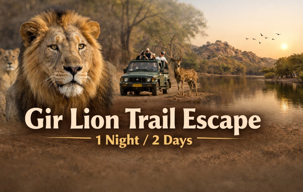 Gir Lion Trail Escape – 1 Night / 2 Days